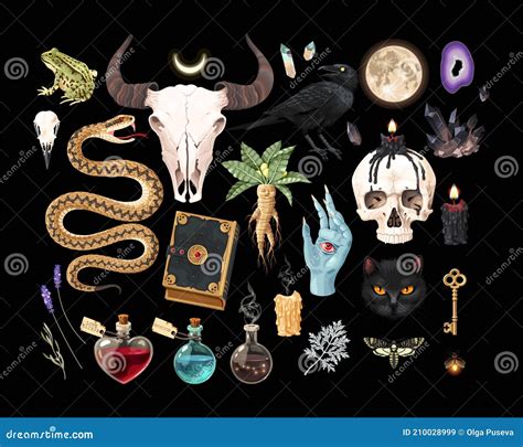 Unleash Your Inner Witch for Less with Discount Codes on Black Magic Supplies
